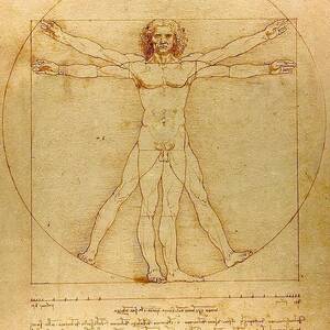 The Proportions Of The Human Figure by Leonardo Da Vinci
