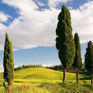 Tuscany, Landscape Near Siena, Italy #1 by Sandra Raccanello