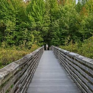 Wooden Path, Wildlife Refuge, Nj #1 by Laura Zeid
