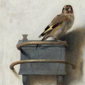 The Goldfinch by Carel Fabritius