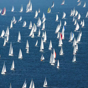 Barcolana Regatta, Italy #2 by Andrea Pavan Barcolana Regatta, Italy #2 by Andrea Pavan