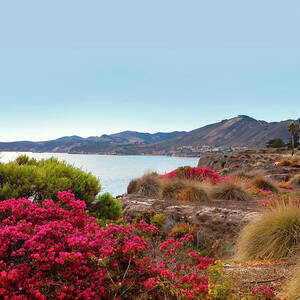 California, Pismo Beach, San Luis Obispo County #2 by Joanne Montenegro