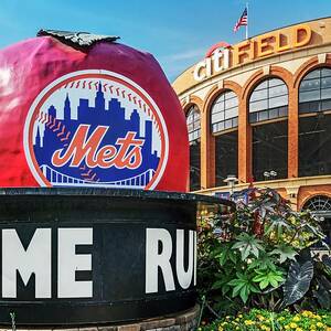 Citi Field Baseball Stadium, Nyc #2 by Laura Zeid