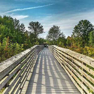 Wooden Path, Wildlife Refuge, Nj #2 by Laura Zeid