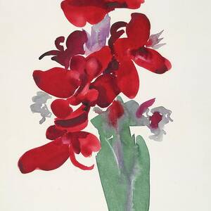 Red Canna by Georgia O'Keeffe Red Canna by Georgia O'Keeffe