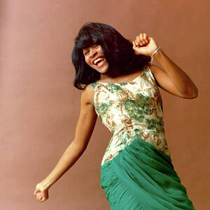 Tina Turner Portrait Session #3 by Michael Ochs Archives