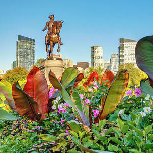 Statue, Public Garden, Boston Ma #4 by Laura Zeid Statue, Public Garden, Boston Ma #4 by Laura Zeid