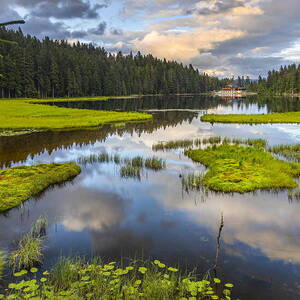 Lake Grosser Arbersee Nature Reserve #6 by Reinhard Schmid