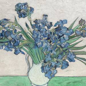 Irises by Vincent Van Gogh