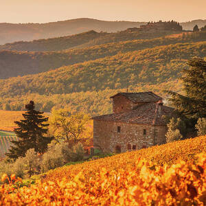 Italy, Tuscany, Siena District, Chianti, Gaiole In Chianti, Brunello Wine Road, View Of Chianti Wine Vineyards In Autumn At Sunset #7 by Maurizio Rellini Italy, Tuscany, Siena District, Chianti, Gaiole In Chianti, Brunello Wine Road, View Of Chianti Wine Vineyards In Autumn At Sunset #7 by Maurizio Rellini