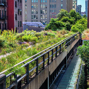 New York City, Manhattan, High Line Elevated Park #9 by Lumiere