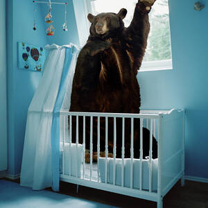 A Bear Inside A Crib In A Blue Room by Matthias Clamer