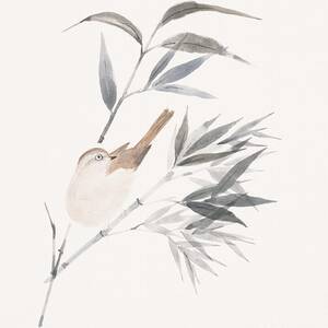 A Sparrow And Bamboo Leaves by Daj