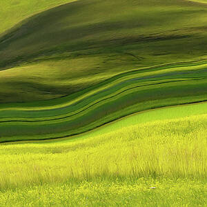 Abstract Landscape by Edoardogobattoni Abstract Landscape by Edoardogobattoni