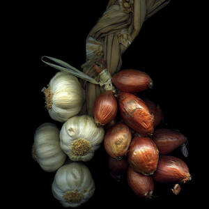 All Ready For Halloween by Magda Indigo