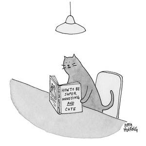 Annoying and Cute by Amy Hwang