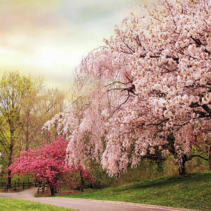 Asian Cherry Grove by Jessica Jenney