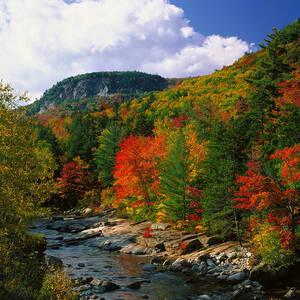 Autumn Nature Scene, New Hampshire by Massimo Ripani