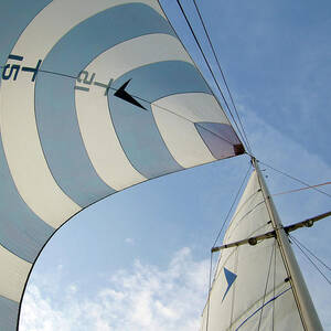 Blue And White Spinnaker by Laura A. Watt Blue And White Spinnaker by Laura A. Watt