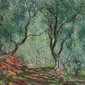 Bois Doliviers Au Jardin Moreno by Claude Monet