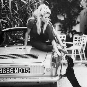 Brigitte Bardot With Dachshund by Bettmann Brigitte Bardot With Dachshund by Bettmann