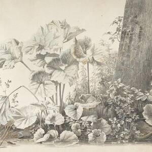 Burdocks, Campions And Brambles By A Treetrunk On A River by Christoph Heinrich Kniep