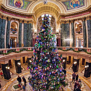 Christmas Tree -Capitol - Madison - Wisconsin 2 by Steven Ralser Christmas Tree -Capitol - Madison - Wisconsin 2 by Steven Ralser