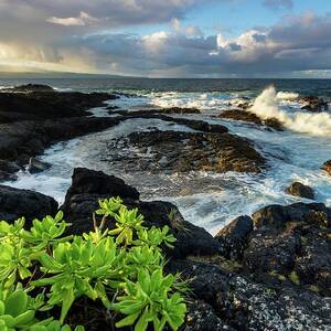Coastal Landscape by Roland Gerth