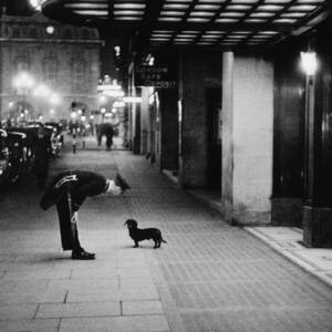Commissionaires Dog by Kurt Hutton Commissionaires Dog by Kurt Hutton