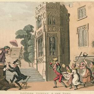 Doctor Syntax & The Bees, 1820 by Print Collector