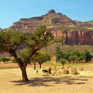 Ethiopia, Tigray, Tableland Landscape by Guido Cozzi