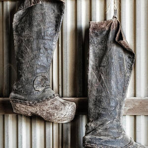 Farming Boots by Susan Candelario