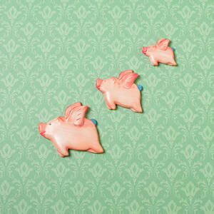 Flying Pig Ornaments On Wallpapered by Peter Dazeley Flying Pig Ornaments On Wallpapered by Peter Dazeley