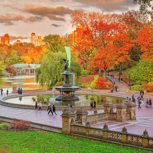 Fountain In Central Park, Nyc by Pietro Canali