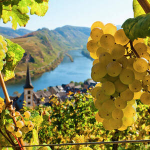 Germany, Vineyards And Village by Olimpio Fantuz Germany, Vineyards And Village by Olimpio Fantuz
