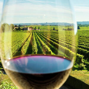 Glass Of Amarone Wine by Franco Cogoli Glass Of Amarone Wine by Franco Cogoli