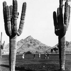 Golf In The Desert by General Photographic Agency Golf In The Desert by General Photographic Agency