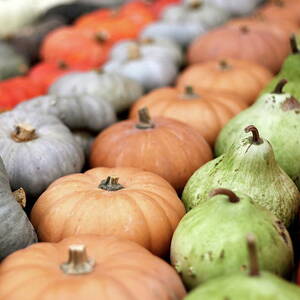 Halloween Market Tuesday. 2di4 by Massimo Ravera