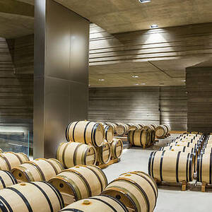 Italy, Tuscany, Livorno District, Maremma, Bolgheri, Bolgheri Wine Area, Il Masseto Winery, The Wine Cellar, Project By The Architects Hikaru Mori And Maurizio Zito by Massimo Borchi Italy, Tuscany, Livorno District, Maremma, Bolgheri, Bolgheri Wine Area, Il Masseto Winery, The Wine Cellar, Project By The Architects Hikaru Mori And Maurizio Zito by Massimo Borchi