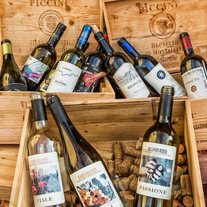 Italy, Tuscany, Livorno District, Maremma, Bolgheri, Detail Of Some Of The Most Famous Tuscan Wines by Massimo Borchi Italy, Tuscany, Livorno District, Maremma, Bolgheri, Detail Of Some Of The Most Famous Tuscan Wines by Massimo Borchi