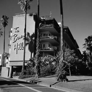 La Hotel by Slim Aarons