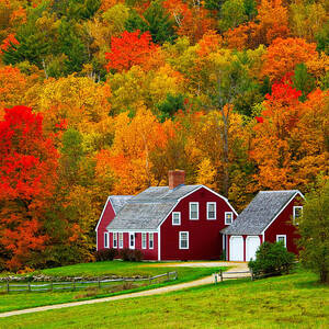 Landscape With Farm In Autumn by Pietro Canali