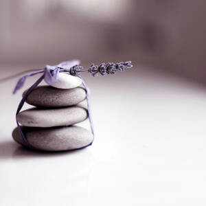 Lavender Still Life by Tjasam