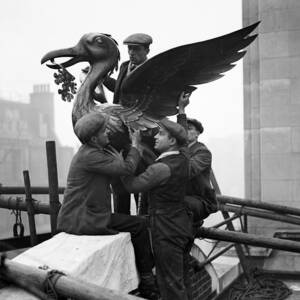 Liver Bird by Fox Photos Liver Bird by Fox Photos