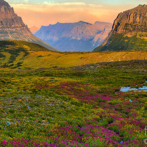 Logan Pass Wildflower Blanket by Adam Jewell Logan Pass Wildflower Blanket by Adam Jewell
