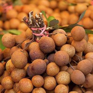 Longan Fruit by Spaude, Brenda