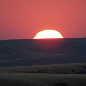 Nature Reserve, Damaraland, Namibia by Jacana Stock