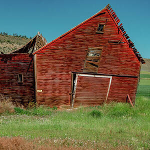 Once There Was A Barn by Marcy Wielfaert