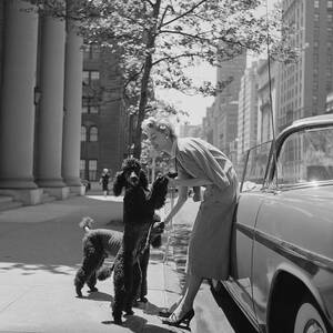 Park Avenue Fashion by Slim Aarons