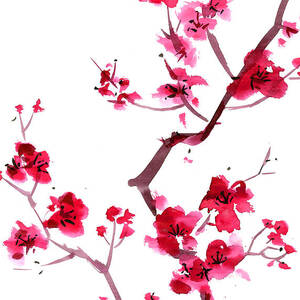 Plum Blossom Painting by Kaligraf